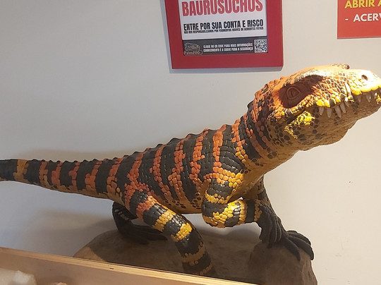 Museu de Paleontologia de Fernandópolis-Fernandopolis必去景点