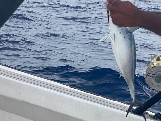 Le Performant Sport Fishing-Pereybere必去景点