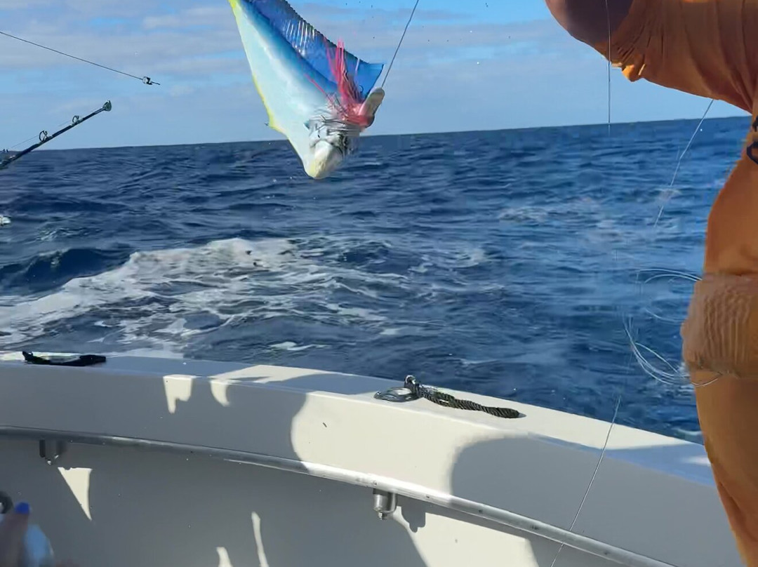 Hunt Fish Kauai-可洛亚必去景点