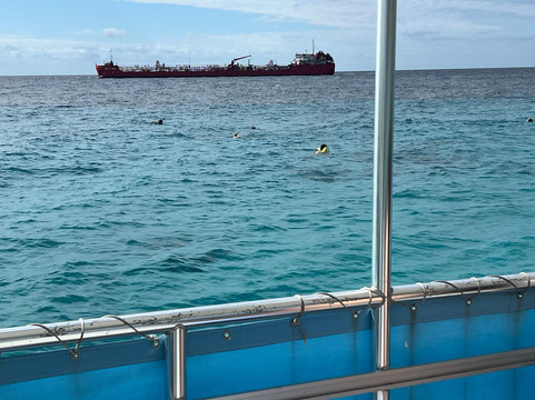 Stuart Cove's-拿骚必去景点