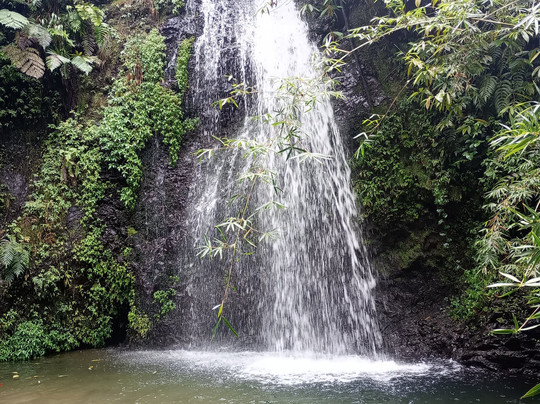 Le SDG - Cascade-Fonds Saint Denis必去景点