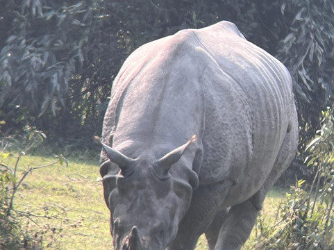 Amaze Northeast-古瓦哈提必去景点