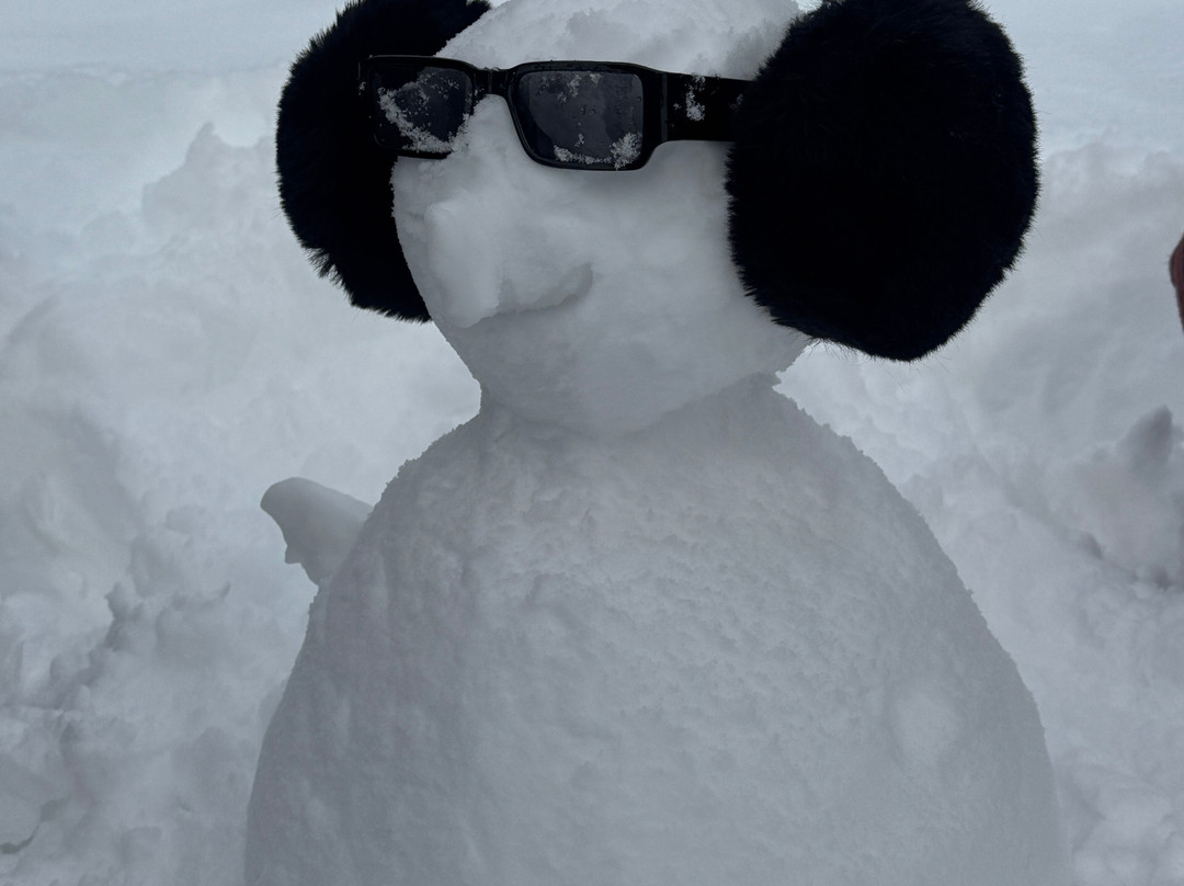 Kashmir Taxi Service-斯利那加必去景点