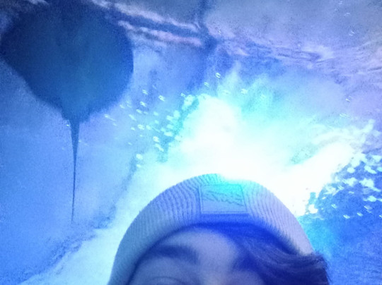 Aqua Vega Aquarium-安卡拉必去景点