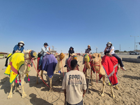 global quest for tourism services-多哈必去景点