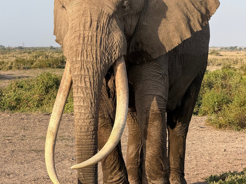 TrueAfrica-阿鲁沙必去景点