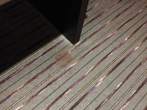 韦茅斯普瑞米尔酒店主图