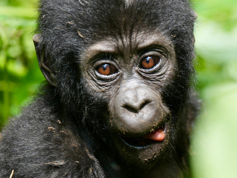 Adventure In The Wild Safaris-坎帕拉必去景点