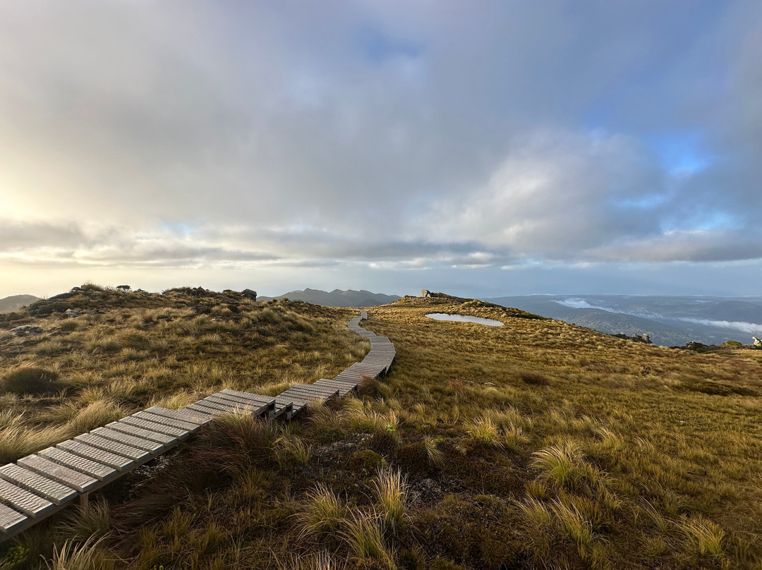 Hump Ridge Track-Tuatapere必去景点