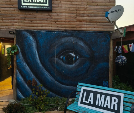 La Mar Ciencia-Chanaral de Aceituno必去景点