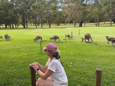 Nelson Bay Golf Club-尼尔森湾必去景点