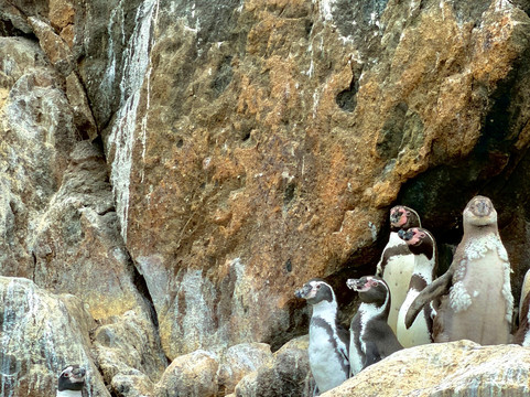 M & A LUX EXPERIENCES-利马必去景点