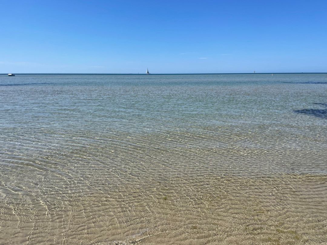 Whitecliffs Foreshore Reserve-Blairgowrie必去景点