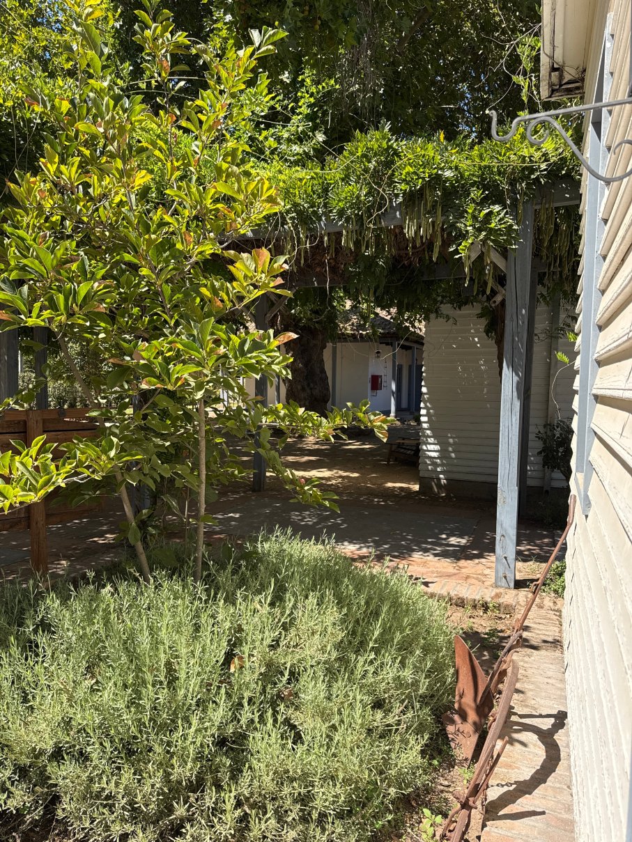 Noi Blend Colchagua-官方