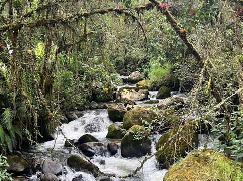 Termales San Vicente-Termales必去景点