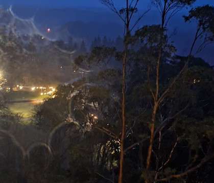 Beyond the Trees Avondale-Rathdrum必去景点