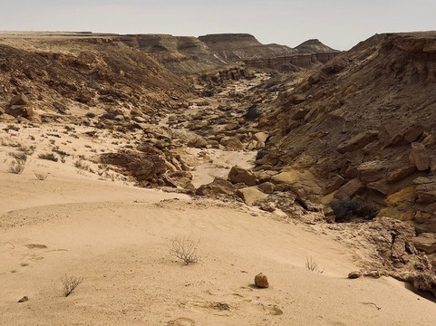 Wadi El-Rayan-法尤姆必去景点