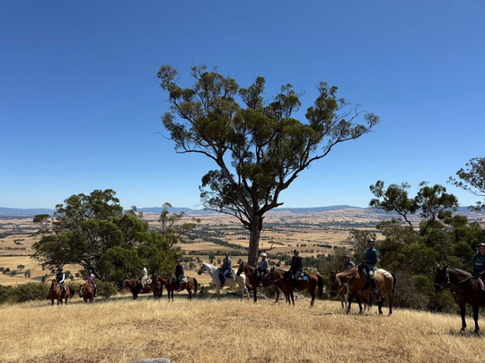 Watson's Mountain Country Trail Rides - Day Tours-曼斯菲尔德必去景点