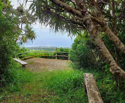 Grande Montagne Nature Reserve-罗德里格斯岛必去景点