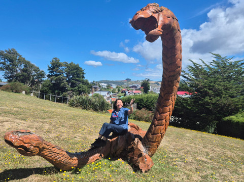 Panamericana Hotel Ancud主图