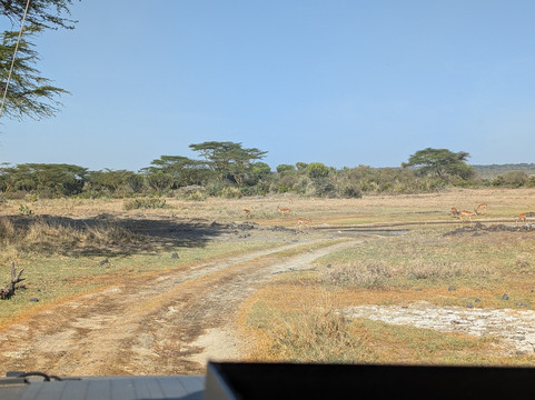 Soysambu Conservancy-Lake Elementaita必去景点