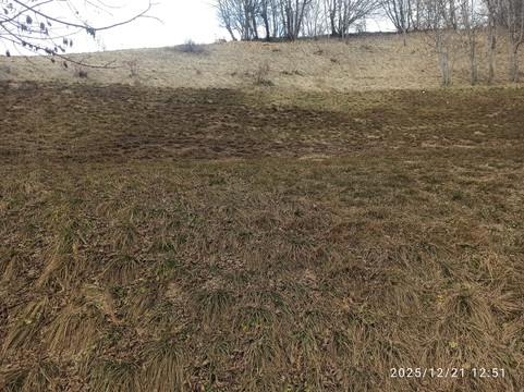 La Plagne-La Plagne-Tarentaise必去景点