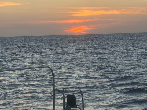 BlueFinn Charters-威廉斯塔德必去景点