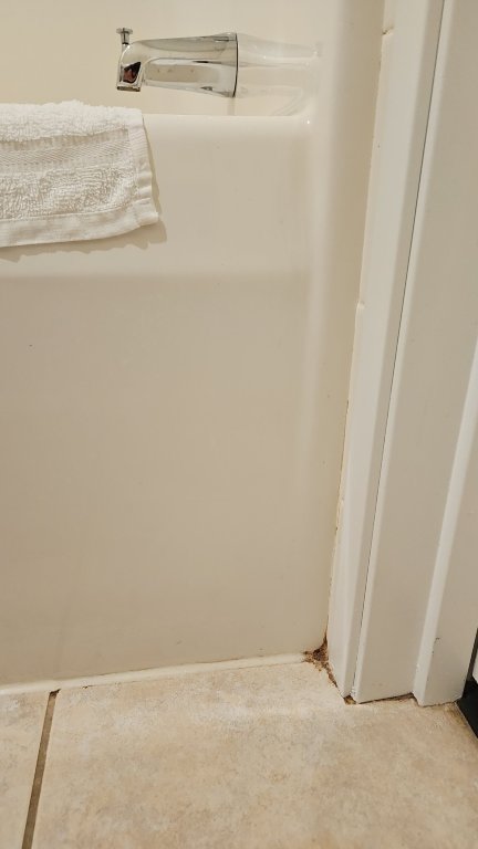 鹅卵石套房酒店-奥什科什-浴室