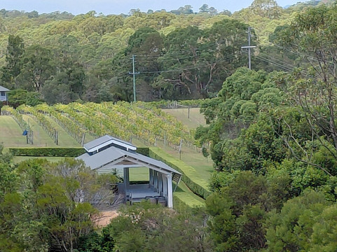 Sirromet Wines-棉花山必去景点