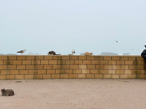 Morocco Travel Dreams-马拉喀什必去景点