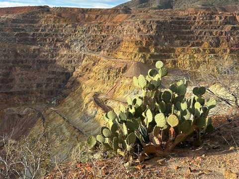 Lavender Pit-比斯比必去景点