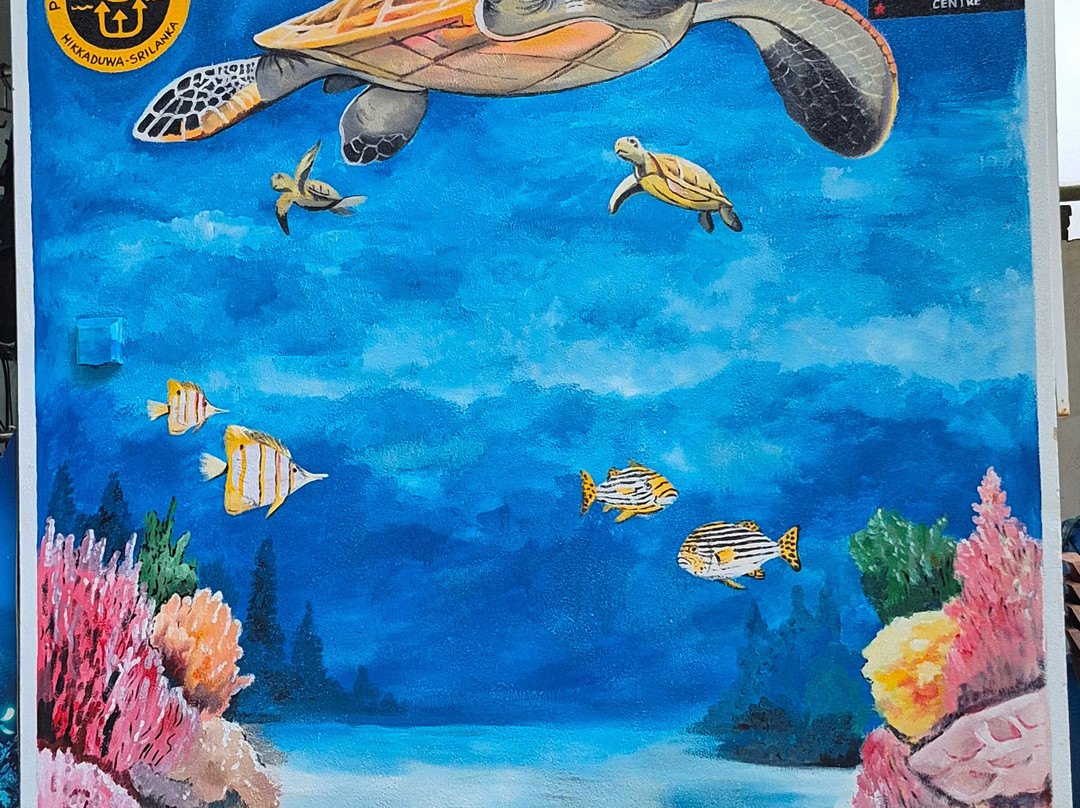 Poseidon Diving Station Sri Lanka-希克杜沃必去景点