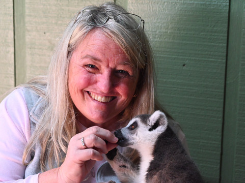 Wild Animal Safari-Strafford必去景点