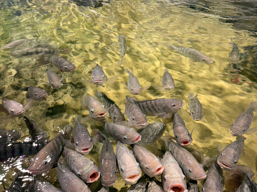 Woodbridge Aquarium & Wildlife Center-伍德布里奇必去景点