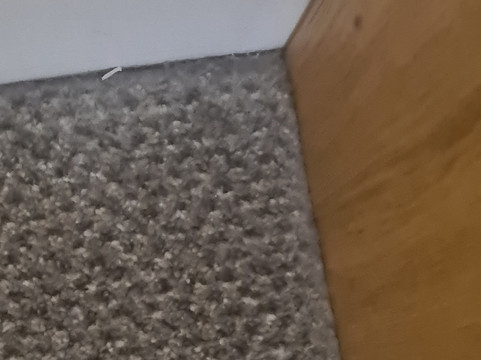 剑桥郡圣艾芙金狮酒店主图