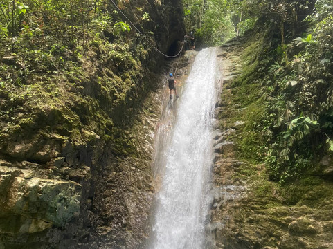 Tropical Escapade-果菲托必去景点
