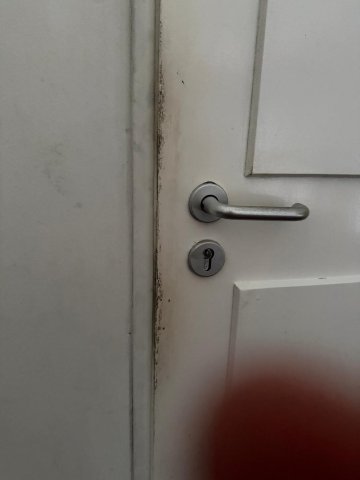 鹦鹉海滩度假酒店-客卧