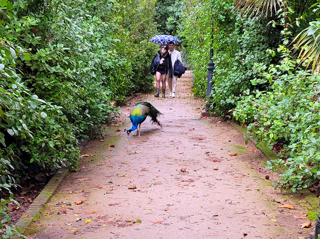 Carmen de los Martires-格拉纳达必去景点