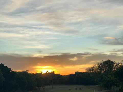 Vipingo Ridge-Kilifi必去景点