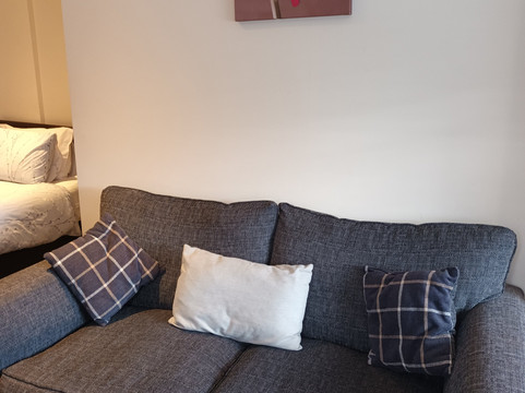 白天鹅旅馆主图