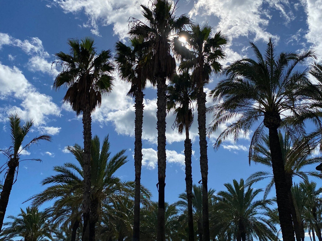 Playa El Bajondillo-托雷莫里诺斯必去景点