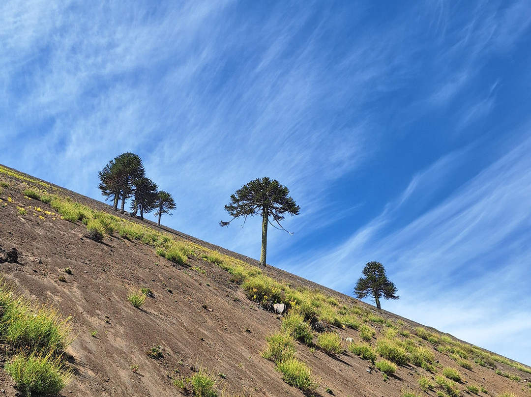 科拉尔克谷Spa酒店主图