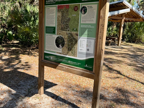 Sleeping Turtles Preserve North-威尼斯必去景点