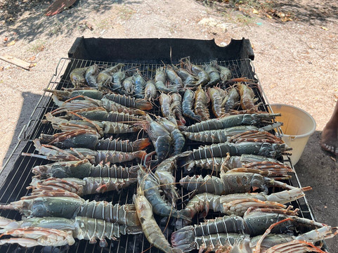 Holy Spirit Cruise Mauritius-弗力克昂弗雷克必去景点