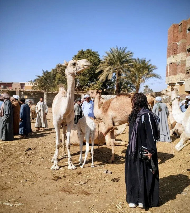 Aswan Felucca Tour: Imaginative Felucca-亚斯文必去景点