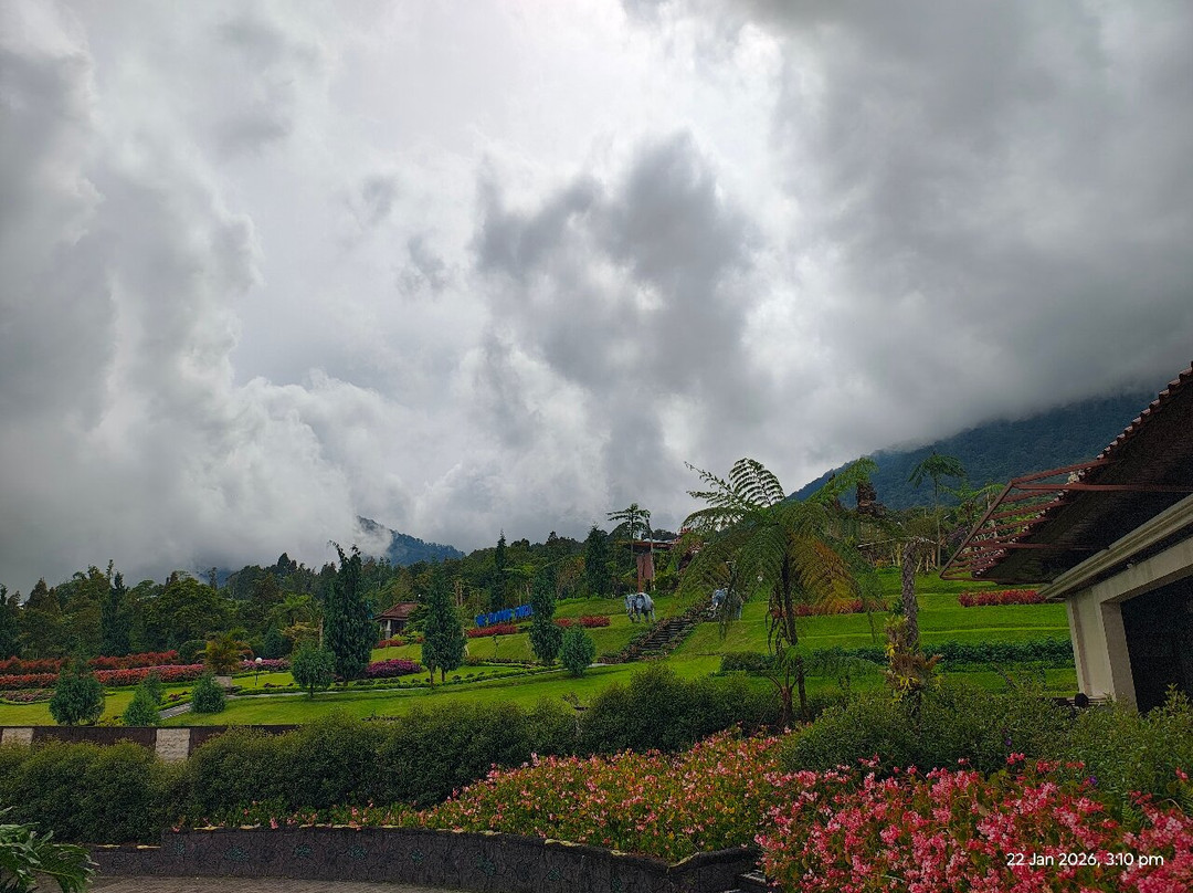 The Blooms Garden-达巴南必去景点