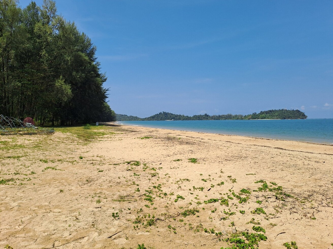Royal Thai Navy Sea Turtle Conservation Center Phang Nga-Lam Kaen必去景点