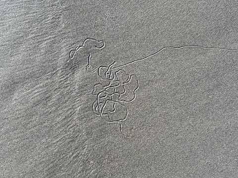 Oyhut Wildlife Recreation Area-洋滨市必去景点