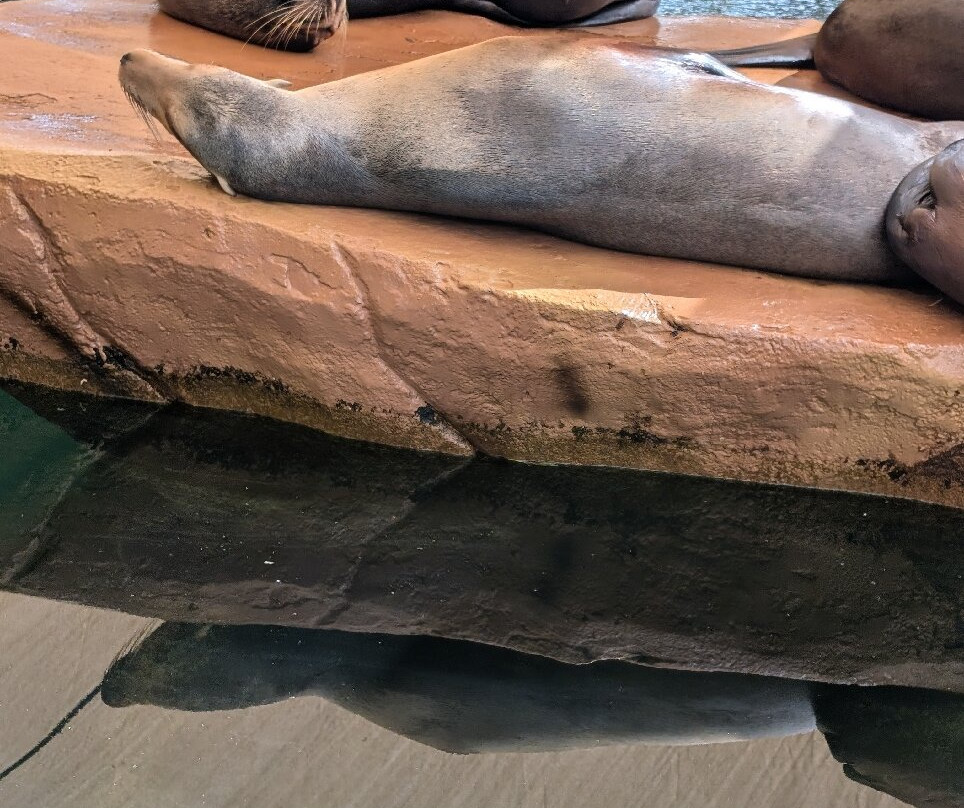 Selwo Marina-班纳玛德纳必去景点