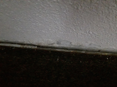 加莱康铂饭店主图